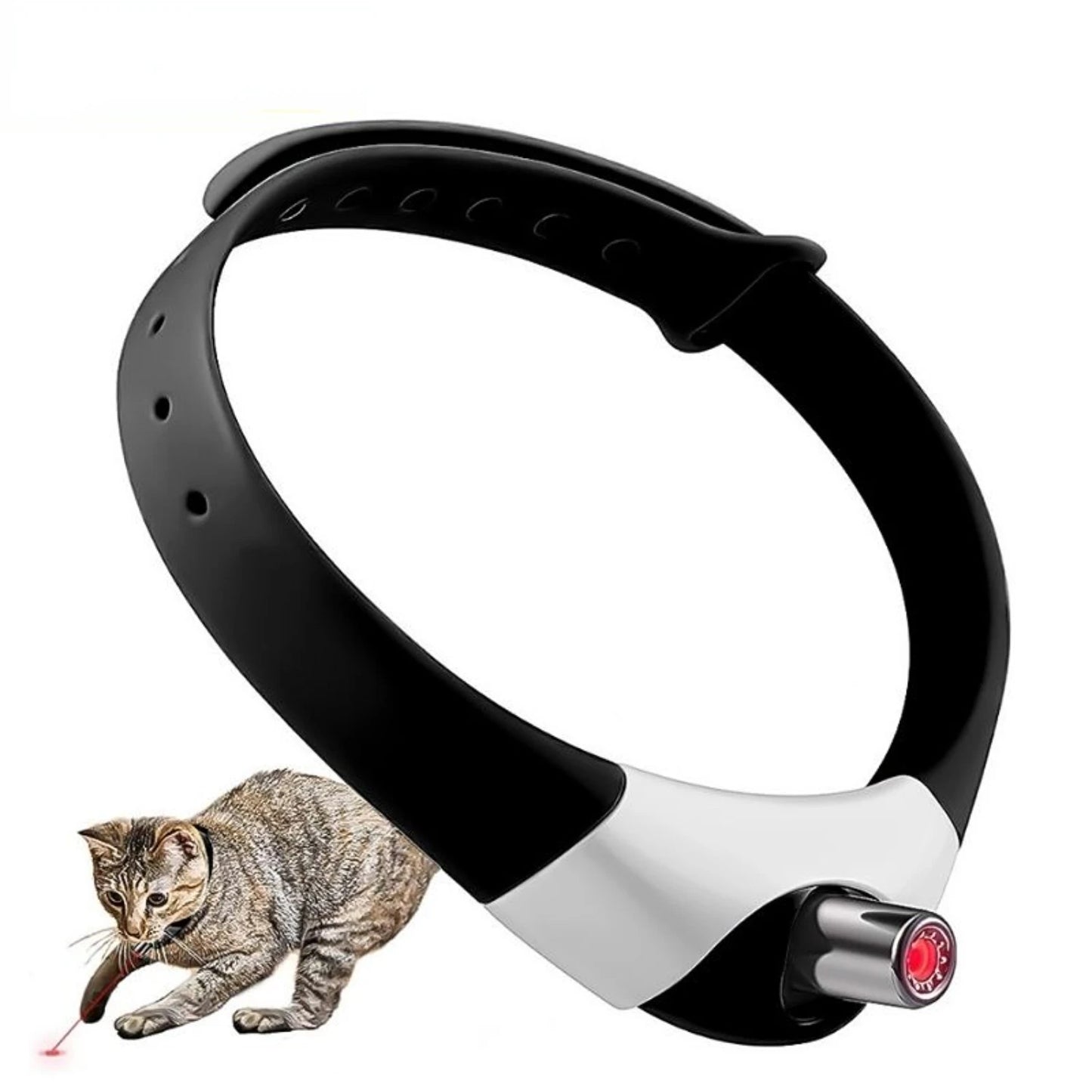 CoolKittyZing Laser Collar